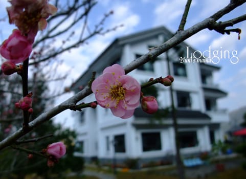 [初三初四住宿] 麗屋和風渡假山莊 ；闕麒渡假莊
