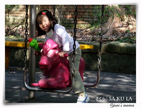 20090213:虎頭山櫻花 - 第5張圖 20090213:虎頭山櫻花