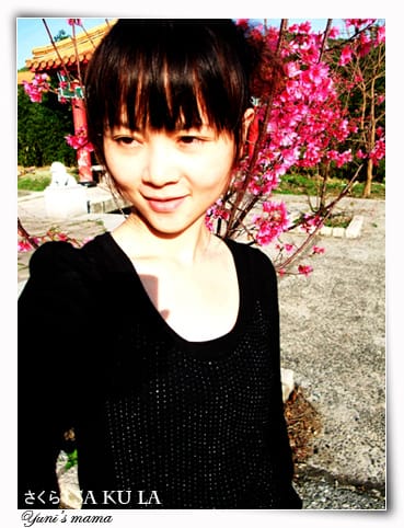 20090213：虎頭山櫻花