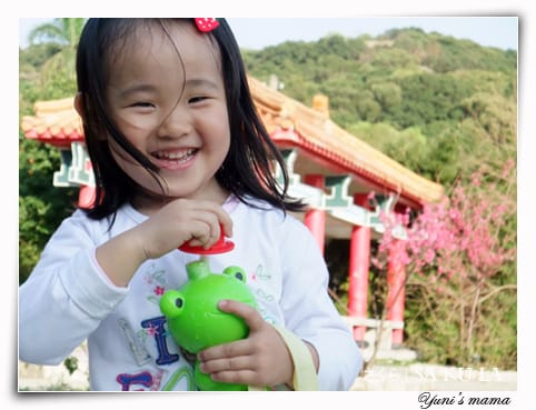 20090213:虎頭山櫻花 - 第14張圖 20090213:虎頭山櫻花