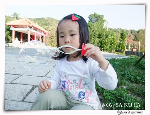 20090213:虎頭山櫻花 - 第15張圖 20090213:虎頭山櫻花