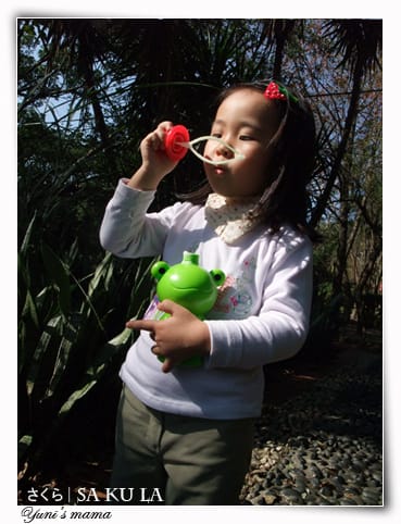20090213:虎頭山櫻花 - 第19張圖 20090213:虎頭山櫻花