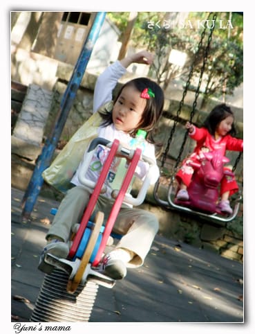 20090213:虎頭山櫻花 - 第21張圖 20090213:虎頭山櫻花