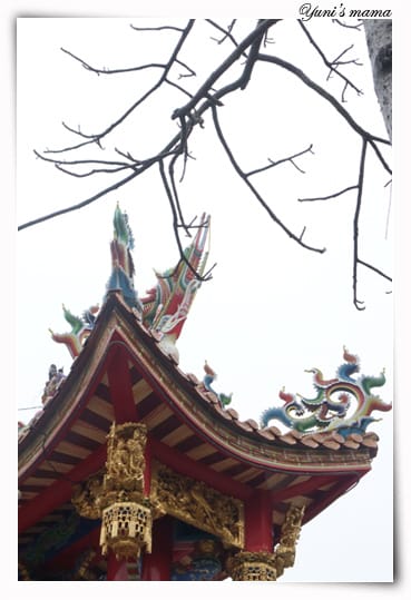 20090214：竹林寺之花