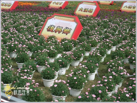 [200902]桃園燈會：桃園好幸福：晝