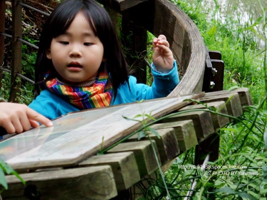 20090221： 士林官邸 [人與花]
