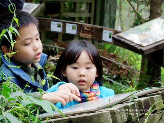 20090221： 士林官邸 [人與花]