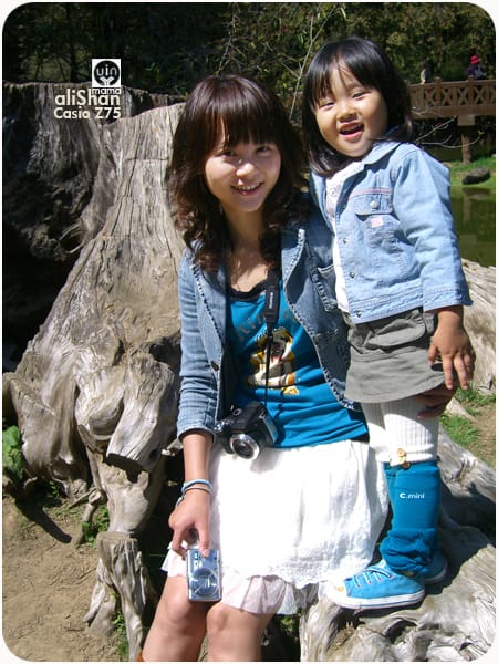 20090317:阿里山│Z75 - 第4張圖 20090317:阿里山│Z75