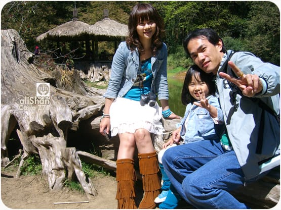 20090317:阿里山│Z75 - 第8張圖 20090317:阿里山│Z75