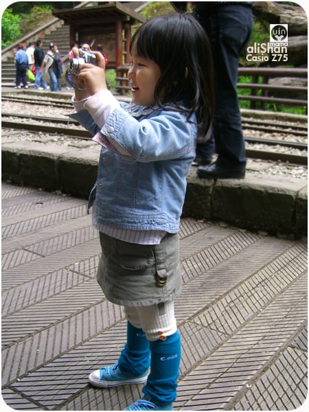 20090317:阿里山│Z75 - 第10張圖 20090317:阿里山│Z75