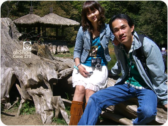 20090317:阿里山│Z75 - 第9張圖 20090317:阿里山│Z75