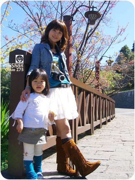 20090317:阿里山│Z75 - 第5張圖 20090317:阿里山│Z75