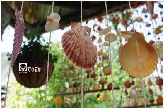 [民宿早餐] 來吉村：魚人古魯店