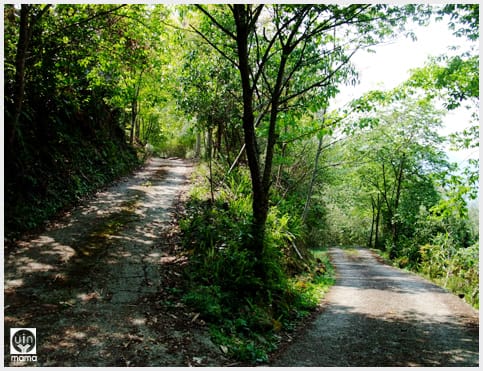 來吉村:斯比斯比高山鐵達尼 - 第31張圖 來吉村:斯比斯比高山鐵達尼