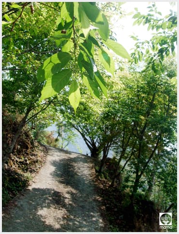 來吉村:斯比斯比高山鐵達尼 - 第9張圖 來吉村:斯比斯比高山鐵達尼