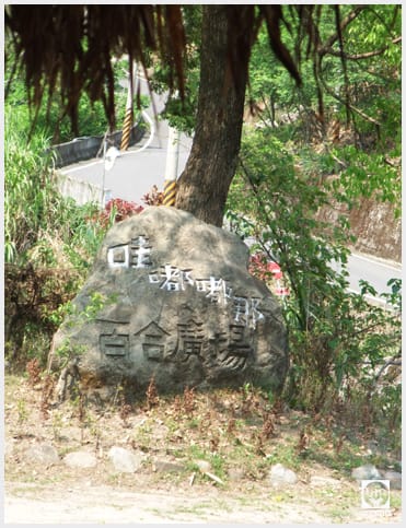 來吉村:斯比斯比高山鐵達尼 - 第34張圖 來吉村:斯比斯比高山鐵達尼