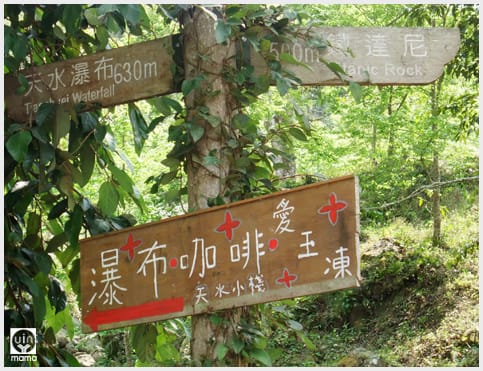 來吉村:斯比斯比高山鐵達尼 - 第7張圖 來吉村:斯比斯比高山鐵達尼