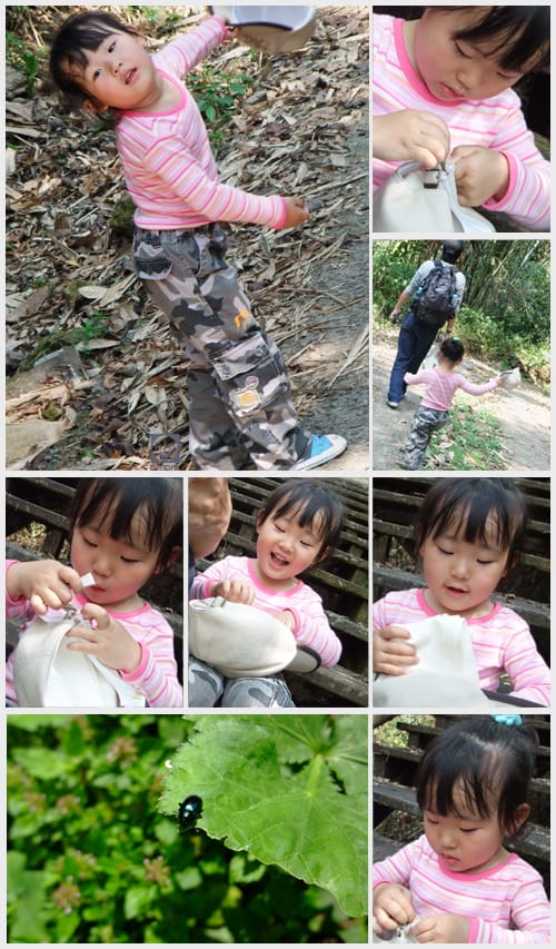 來吉村:斯比斯比高山鐵達尼 - 第29張圖 來吉村:斯比斯比高山鐵達尼