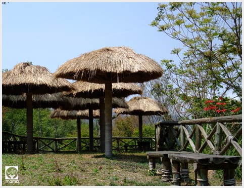 來吉村:斯比斯比高山鐵達尼 - 第8張圖 來吉村:斯比斯比高山鐵達尼