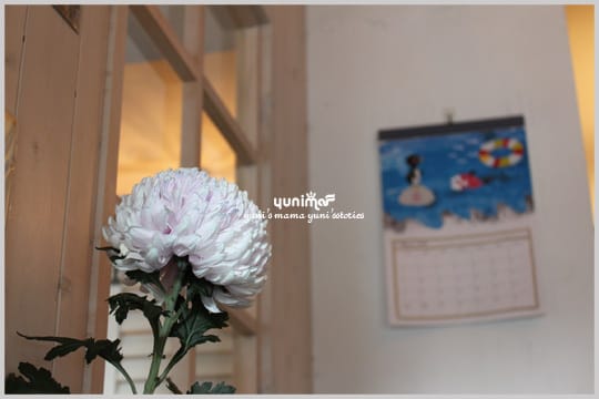 My Tea time：Hana Cafe