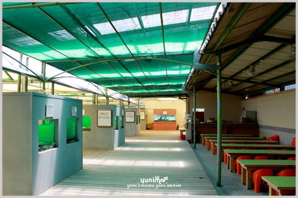 我家的鄰居:龜龜樂園 - 第2張圖 我家的鄰居:龜龜樂園