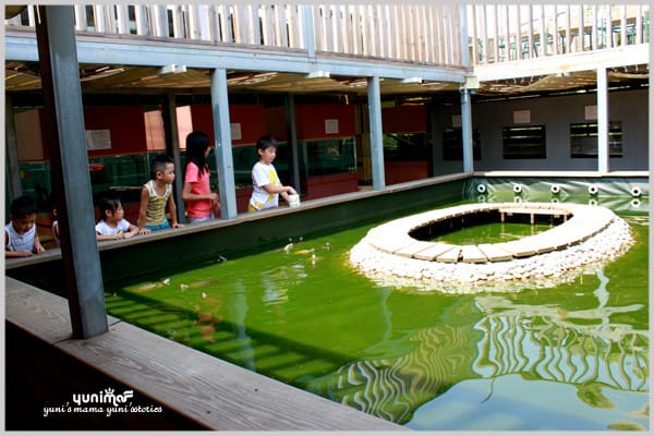 我家的鄰居:龜龜樂園 - 第4張圖 我家的鄰居:龜龜樂園