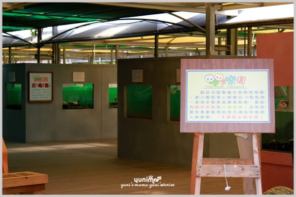 我家的鄰居:龜龜樂園 - 第11張圖 我家的鄰居:龜龜樂園