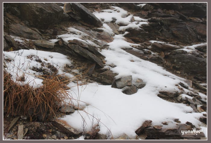 初四:婗的第一場雪│合歡山 - 第2張圖 初四:婗的第一場雪│合歡山