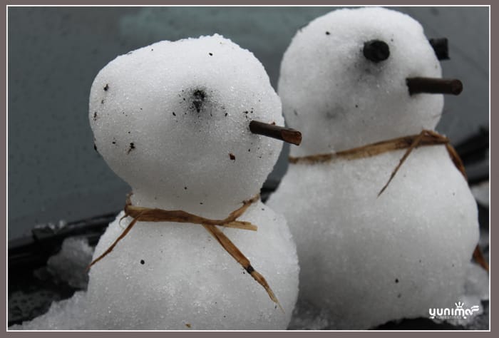 初四:婗的第一場雪│合歡山 - 第8張圖 初四:婗的第一場雪│合歡山