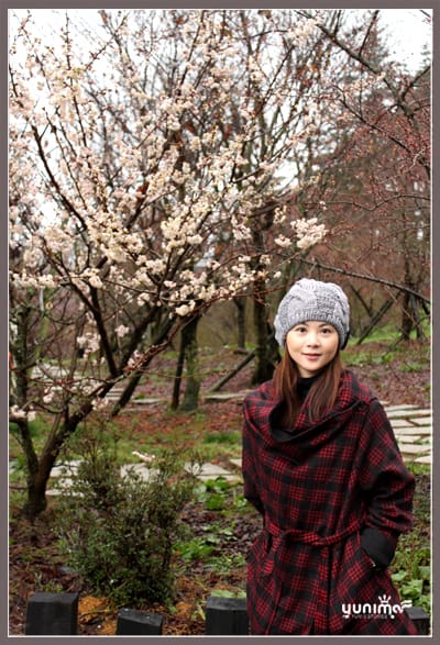 初五:梅花不開:福壽山 - 第14張圖 初五:梅花不開:福壽山