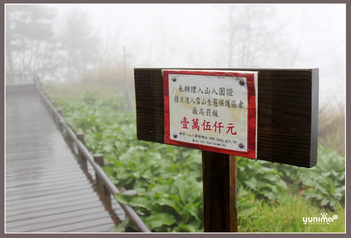 初五:最夢幻的蓄水池:思源啞口 - 第2張圖 初五:最夢幻的蓄水池:思源啞口