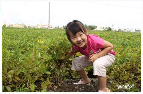 炎炎夏日:Yuni 之農村體驗一日活 - 第5張圖 炎炎夏日:Yuni 之農村體驗一日活