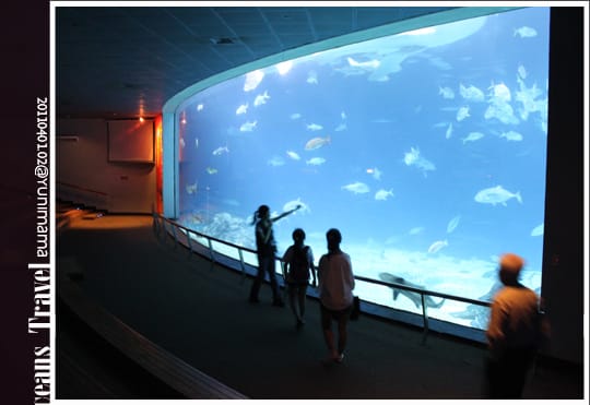 【夜宿海生館】與海共舞：與魚共眠 [上]