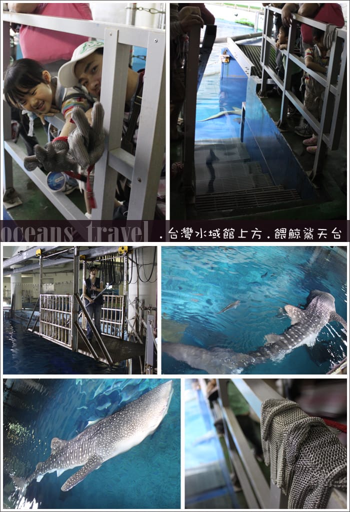 【夜宿海生館】與海共舞：與魚共眠 [上]