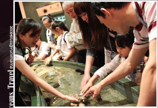 【夜宿海生館】與海共舞：與魚共眠 [上]