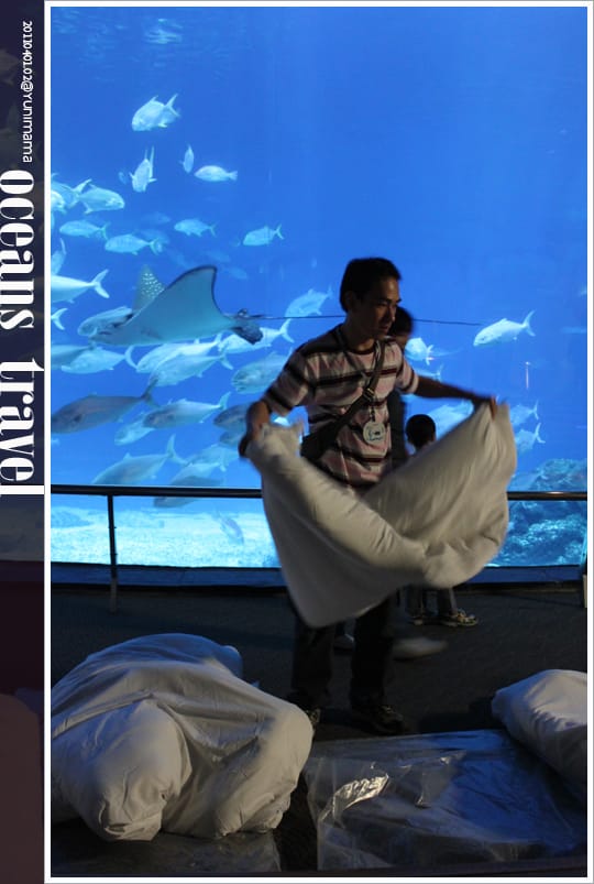 【夜宿海生館】與海共舞：與魚共眠 [上]