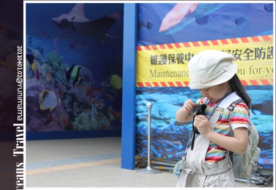【夜宿海生館】與海共舞：與魚共眠 [上]