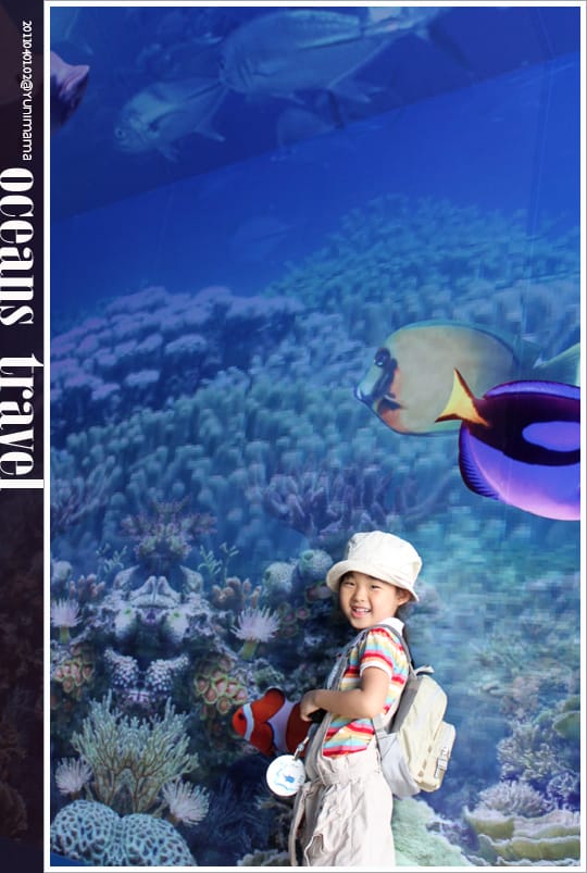 【夜宿海生館】與海共舞：與魚共眠 [上]