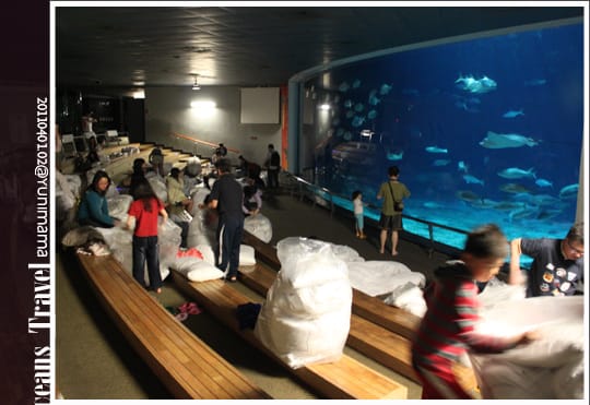 【夜宿海生館：墾丁】與海共舞：與魚共眠 [下]
