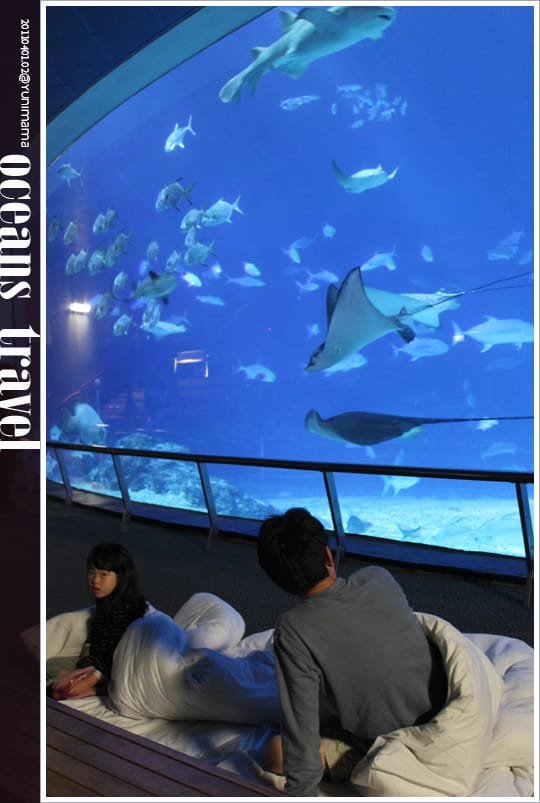 【夜宿海生館：墾丁】與海共舞：與魚共眠 [下]