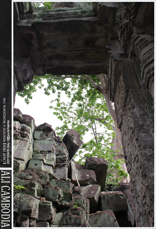 04。29│Day 3-1【吳哥窟】寶劍寺│東梅蓬寺│變身塔│涅槃宮│達松將軍廟 - 第6張圖 04。29│Day 3-1【吳哥窟】寶劍寺│東梅蓬寺│變身塔│涅槃宮│達松將軍廟