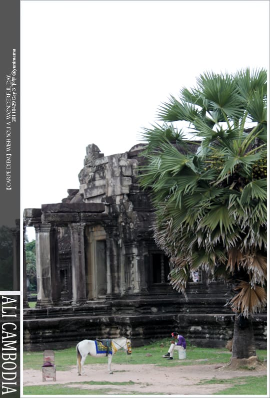 04。29│Day 3-2【吳哥窟】小吳哥皇城遺跡Angkor Wat - 第5張圖 04。29│Day 3-2【吳哥窟】小吳哥皇城遺跡Angkor Wat