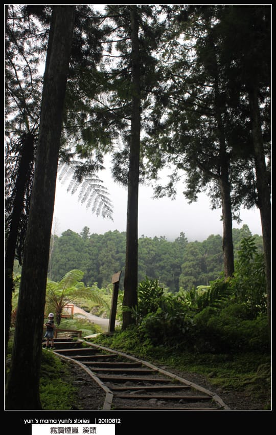 南投之旅：霧靄煙嵐 [ 溪頭 ] 松林町妖怪村、內湖森林小學 NO.1