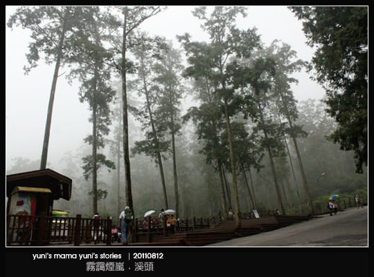 南投之旅：霧靄煙嵐 [ 溪頭 ] 松林町妖怪村、內湖森林小學 NO.1