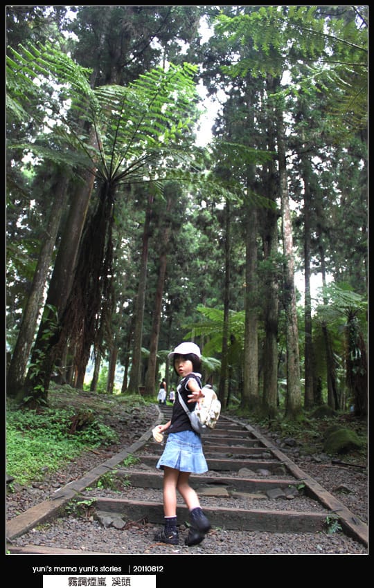 南投之旅：霧靄煙嵐 [ 溪頭 ] 松林町妖怪村、內湖森林小學 NO.1
