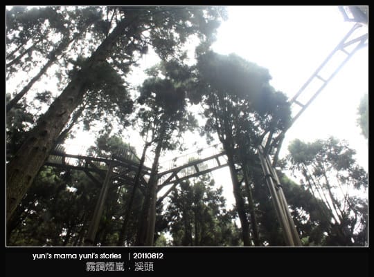 南投之旅：霧靄煙嵐 [ 溪頭 ] 松林町妖怪村、內湖森林小學 NO.1