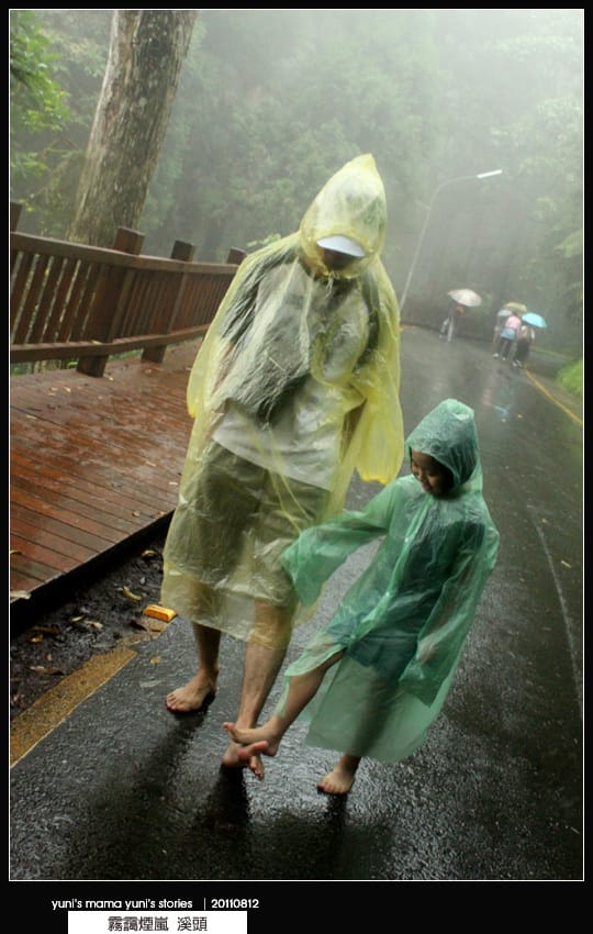 南投之旅：霧靄煙嵐 [ 溪頭 ] 松林町妖怪村、內湖森林小學 NO.1