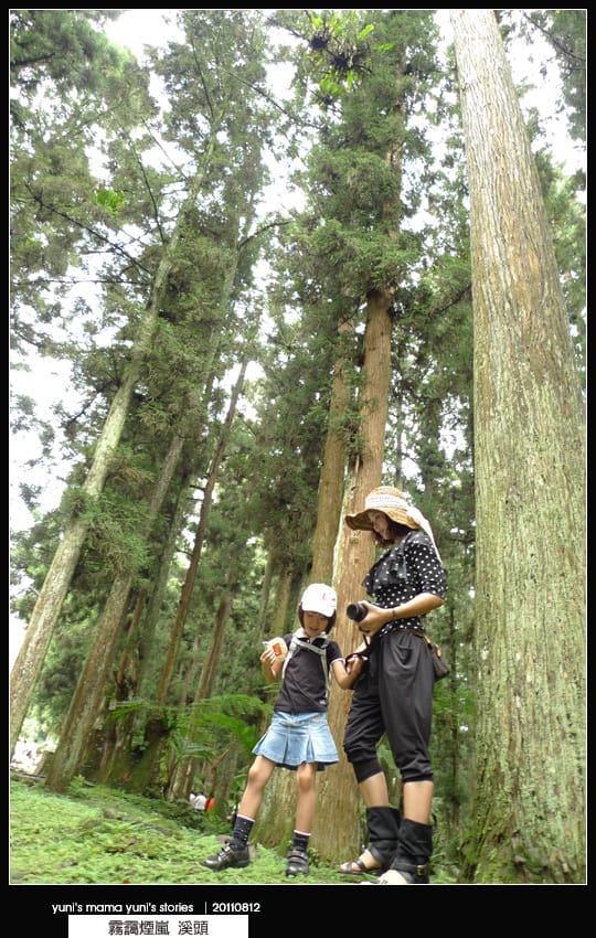南投之旅：霧靄煙嵐 [ 溪頭 ] 松林町妖怪村、內湖森林小學 NO.1