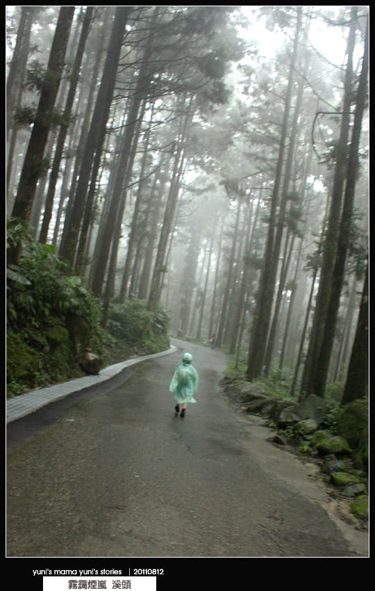 南投之旅：霧靄煙嵐 [ 溪頭 ] 松林町妖怪村、內湖森林小學 NO.1