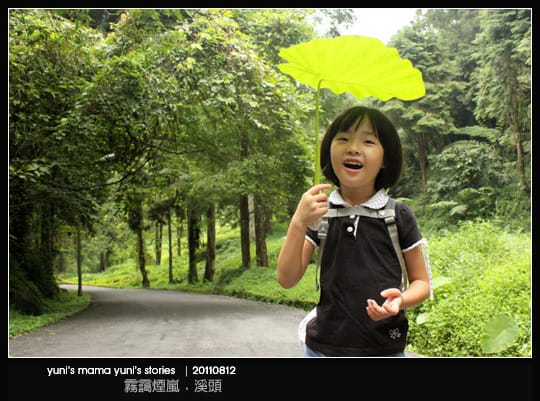 南投之旅：霧靄煙嵐 [ 溪頭 ] 松林町妖怪村、內湖森林小學 NO.1